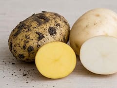 Papa blanca o papa amarilla: cuál es mejor para cocinar y qué diferencia hay