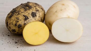 Papa blanca o papa amarilla: cuál es mejor para cocinar y qué diferencia hay