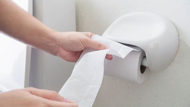 Papel higiénico de hoja simple o doble: cuáles son las diferencias y cómo saber cuál comprar