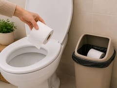 Tirar el papel higiénico al inodoro o a la basura: cuál es la forma correcta y por qué recomiendan hacerlo solo de una manera