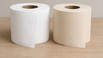 Papel higiénico blanco o color crema: cuál es la diferencia y cuál conviene comprar