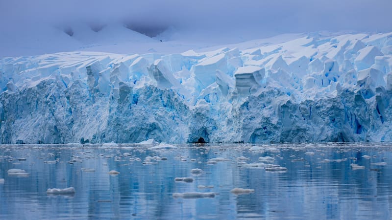Paradise Bay, Antarctica - Glacier flowing in the icy waters of the Southern Ocean