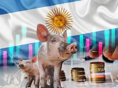 Qué es la paradoja del chancho: se produce más que nunca y afecta a un sector clave de la economía