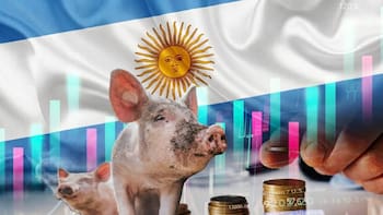 Qué es la paradoja del chancho: se produce más que nunca y afecta a un sector clave de la economía