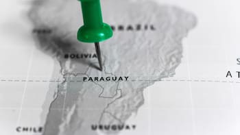 Las industrias que se mudan a Paraguay: ventajas fiscales y cuál es la apuesta exportadora