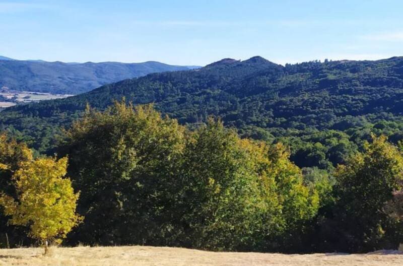La hermosa aldea de Galicia que posee vistas de ensueño, rica gastronomía y está cerca de un famoso parque natural (foto: Pexels).