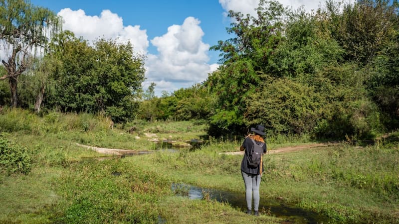 Parece Suiza, pero está en Córdoba: el pueblo de 2.000 habitantes rodeado de ríos, bosques y cascadas