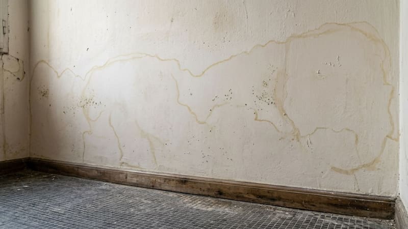 Pared con humedad de cimientos: una albañil enseña cómo frenar el problema y en qué casos consultar a un profesional.