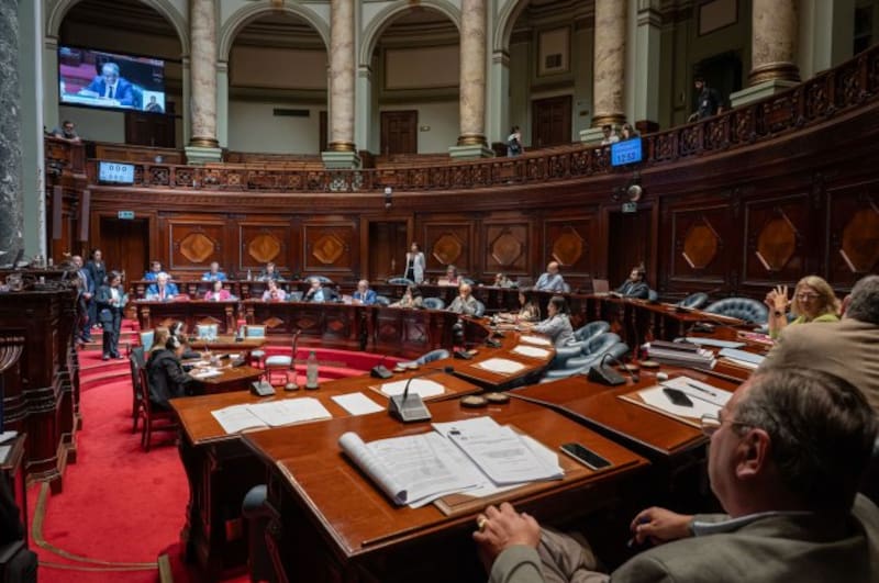 Cámara de Senadores
Foto: Parlamento