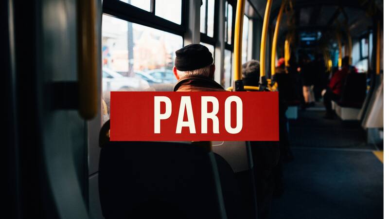 Nuevo PARO DE COLECTIVOS por tiempo indeterminado: a partir de cuándo y a quiénes afecta. Foto (Archivo)