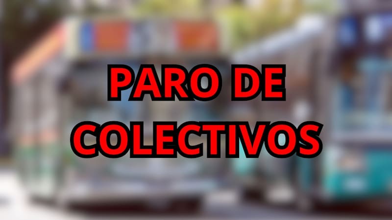 Paro de colectivos | UTA confirmó la medida de fuerza y no circularán este miércoles 29 de julio: líneas afectadas.