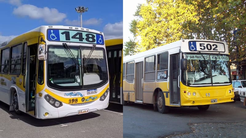 Paro de colectivos: estas líneas no prestan servicio por medida de fuerza. Foto: Archivo / Wikipedia