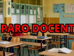 Más docentes se suman al paro este lunes: esta provincia tampoco comenzará las clases