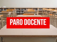 Paro nacional de docentes | Los maestros de todo el país convocan a una asamblea para la próxima semana y hay alerta por suspensión de clases en todos los niveles