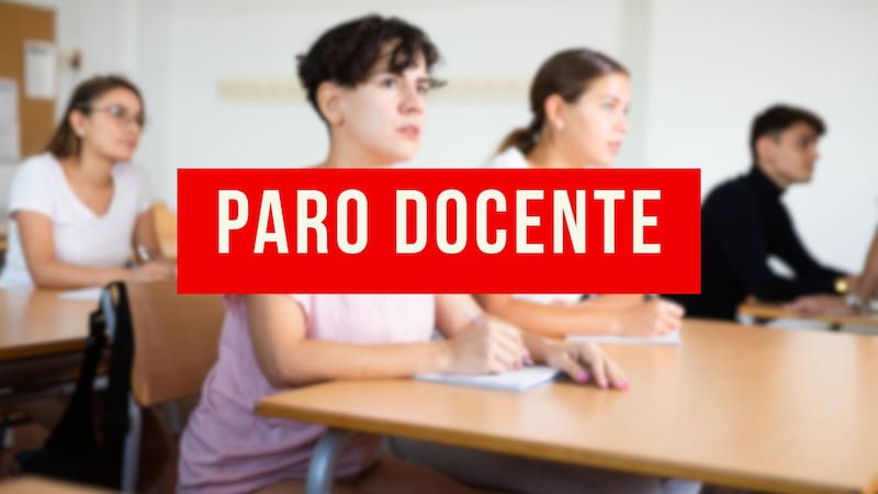 Paro docente confirmado: anunciaron una nueva medida de fuerza y durante 24 horas no habrá clases para ninguno de estos alumnos. Foto (Archivo)