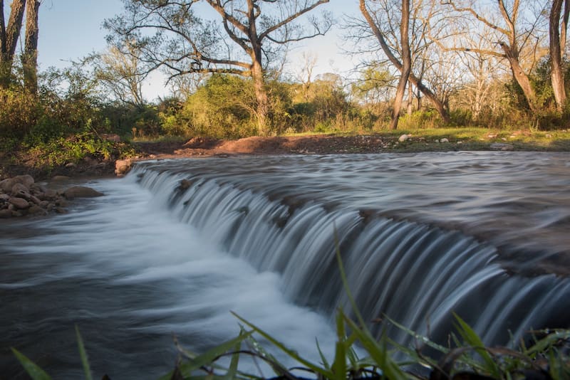 Cómo son las selvas y los paisajes naturales del parque.