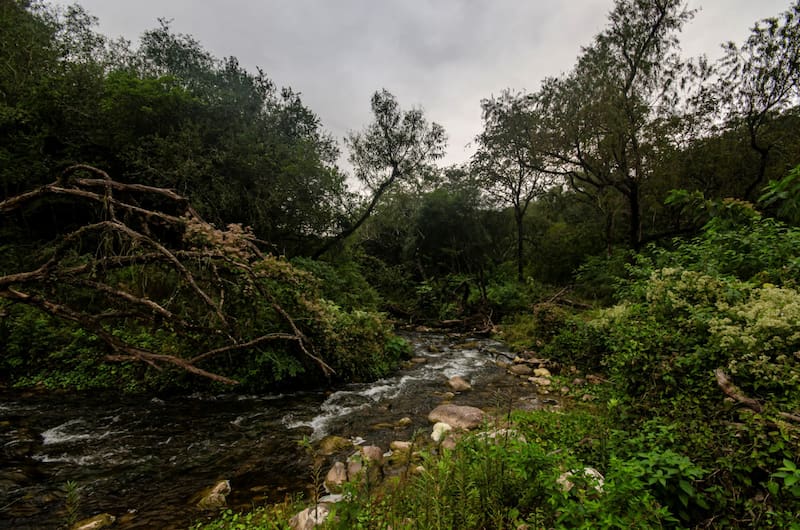 Parque Nacional El Rey, la estancia de Salta que se convirtió en un parque nacional.
