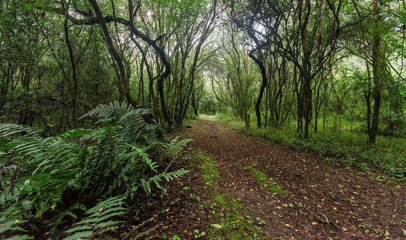 La estancia de Salta que se convirtió en un parque nacional.