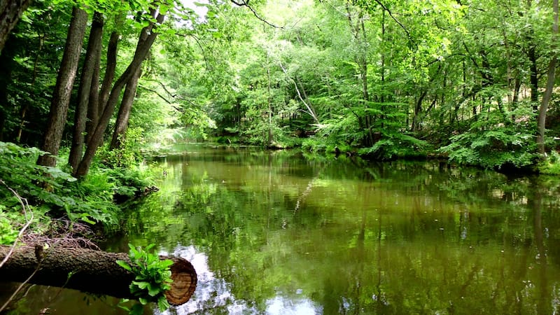 La propuesta de voluntariado se desarrolla en una antigua casa parroquial de Mecklemburgo-Pomerania Occidental, cerca del Parque Nacional Müritz, en Alemania.
