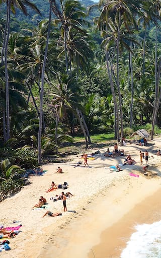 Rodeada de selva y aguas cristalinas: la playa de Colombia que está dentro de un bello parque nacional