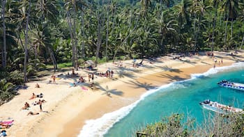 Rodeada de selva y aguas cristalinas: la playa de Colombia que está dentro de un bello parque nacional