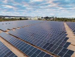 Arcor inauguró su primer parque solar en medio de un “consumo dual” y la esperanza de “una Argentina distinta”