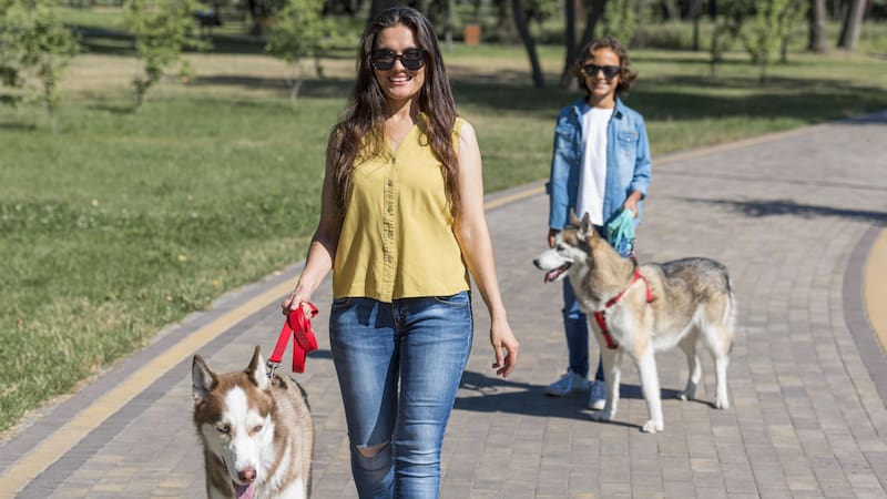 Paseo con perros. Fuente: archivo.