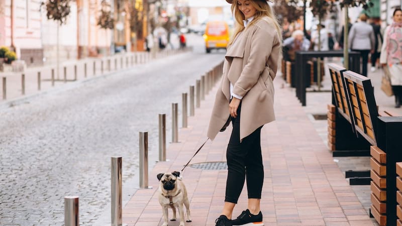 Oficial y obligatorio | Ley de Protección y Bienestar de los Animales prohíbe pasear a las mascotas de esta forma: las reglas para no ser multado en CDMX