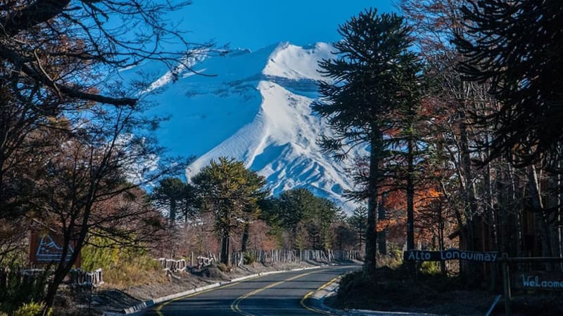 Buscan voluntarios para vivir en la Patagonia chilena: ofrecen alojamiento gratis a cambio de 30 horas semanales de colaboración.