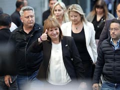 Bullrich se puso al hombro el primer round en el Senado para bloquear la avanzada de UP