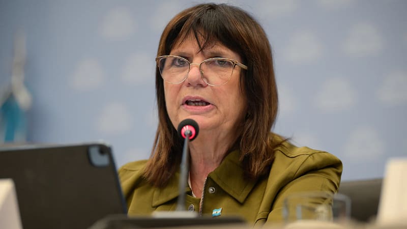 La senadora por La Libertad Avanza, y exministra de Seguridad, Patricia Bullrich, aseguró que el Gobierno modificará el artículo.