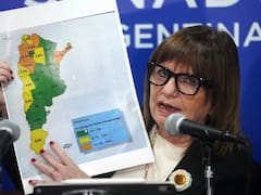 Ley de Tierras: Bullrich anunció los cambios de último momento y afirmó que “propiedad no es soberanía”