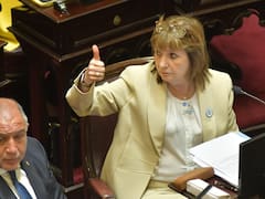 Imputabilidad desde los 14: qué dice el proyecto oficial y cuáles son los límites en otros países