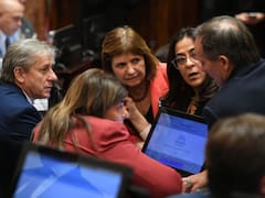 Antes del receso, el Senado busca dar media sanción a la Ley de Tierras