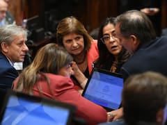 Inviolabilidad de la Propiedad Privada: la disputa por la Ley de Tierras y los límites de los aliados