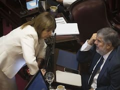 El oficialismo acelera con Propiedad privada y el acuerdo con los holdouts: la letra chica