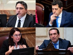 El millonario patrimonio de los senadores: los que más tienen y los que más crecieron
