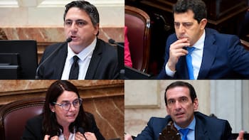 El millonario patrimonio de los senadores: los que más tienen y los que más crecieron