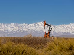 Petróleos Sudamericanos compra la participación de la petrolera de Eurnekian en dos áreas en Mendoza