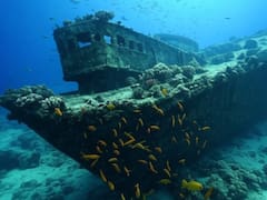 Hallazgo arqueológico | Encuentran un barco romano casi intacto y reescriben la historia del Mediterráneo