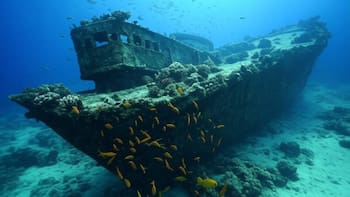 Hallazgo arqueológico | Encuentran un barco romano casi intacto y reescriben la historia del Mediterráneo