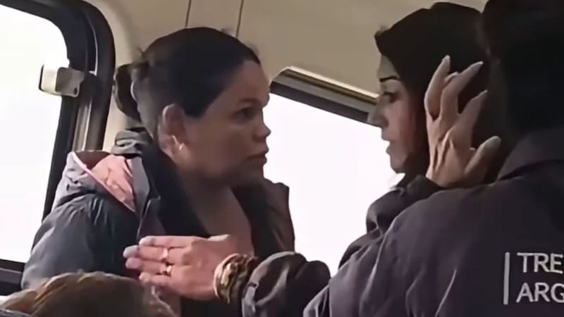 Pasajeros del Tren San Martín capturaron la pelea entre una inspectora y una mujer que entró sin pagar.