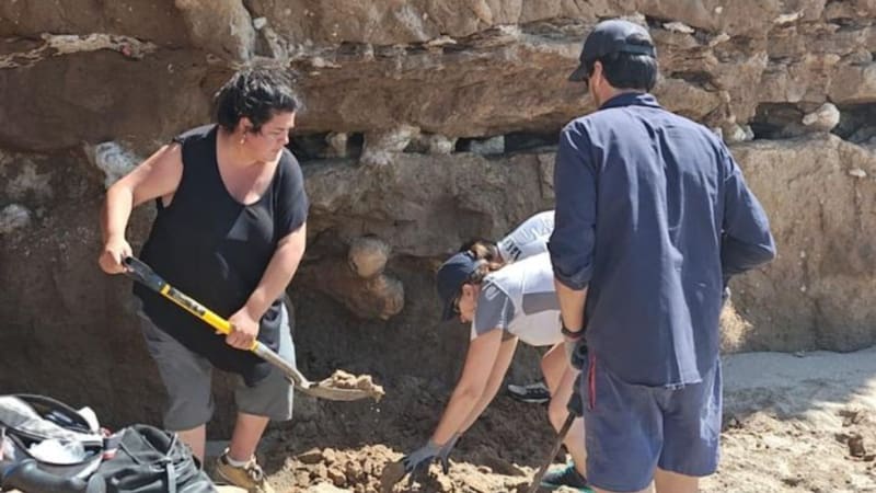 Hallaron el fémur derecho de un perezoso gigante en Santa Clara del Mar. (Foto: @museolorenzoscagliamgp)