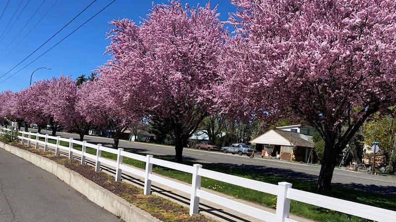 Perfecto para casas pequeñas