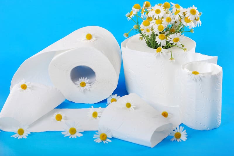 Adiós al papel higiénico.