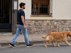 Medida oficial | Por orden del gobierno, se multará por más de 100.000 pesos a quienes paseen a su mascota sin correa