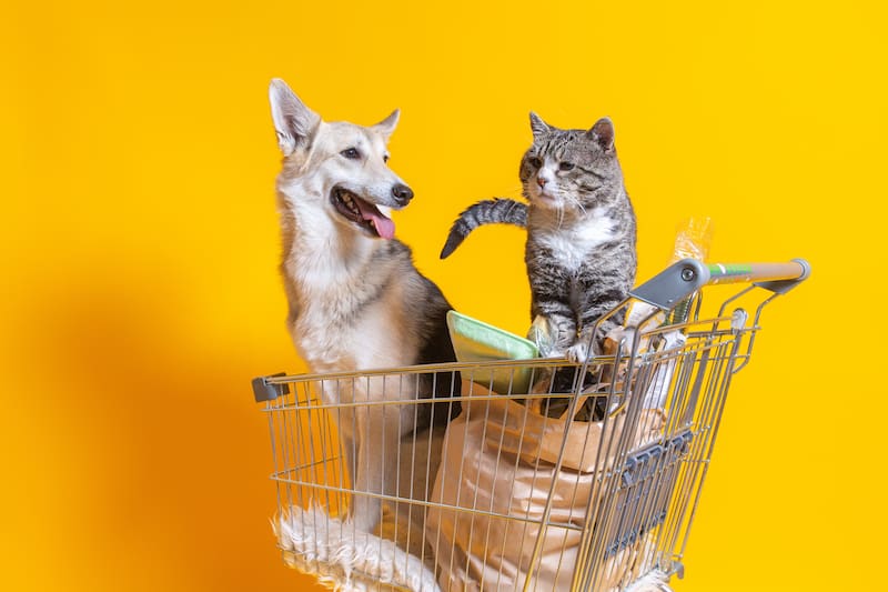 La normativa de bienestar animal refuerza la responsabilidad de los propietarios y exige mantener la documentación al día.