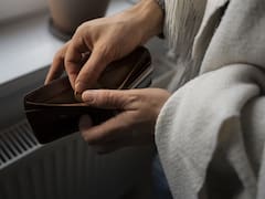 ¿Cuántos días puede sobrevivir una persona sin ingresos fijos ni empleo estable?