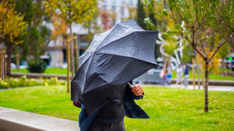 La borrasca Leonardo activa alertas rojas por lluvias extremas, viento y nieve en varias zonas de España, con riesgo de inundaciones, cortes de transporte y afecciones graves.