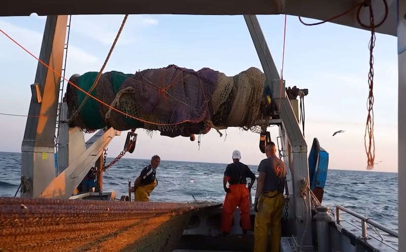 Francisco, pescador con 40 años en el mar: “Antes éramos marineros y pescadores; hoy nos hacen sentir como delincuentes”
